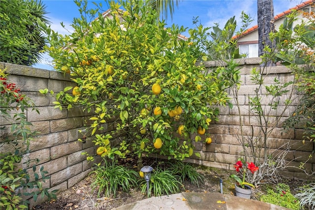 14252 Parkside Ct, Chino Hills, CA 91709 - view of yard