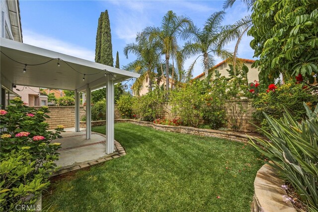 14252 Parkside Ct, Chino Hills, CA 91709 - view of yard featuring a patio