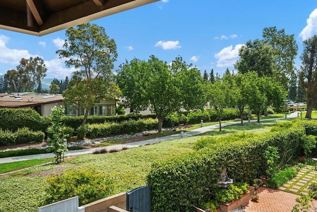 6 Cape Cod, Irvine, CA 92620 - view of yard