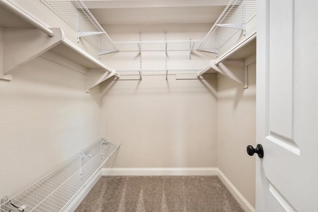 6 Cape Cod, Irvine, CA 92620 - walk in closet featuring carpet flooring