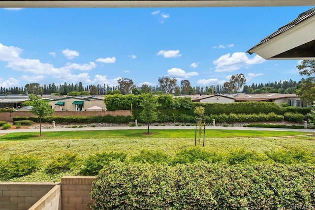 6 Cape Cod, Irvine, CA 92620 - view of green lawn