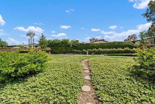 6 Cape Cod, Irvine, CA 92620 - view of yard