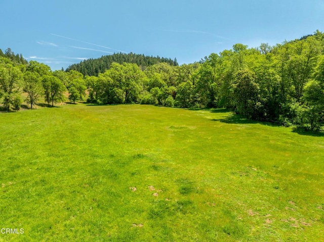 3901 Canyon Rd, Willits, CA 95490 - photo 18