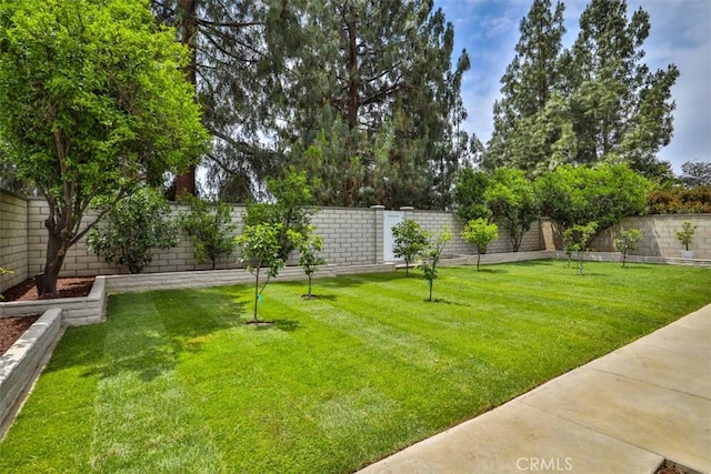 10249 Candlewood St, Rancho Cucamonga, CA 91730 - view of yard