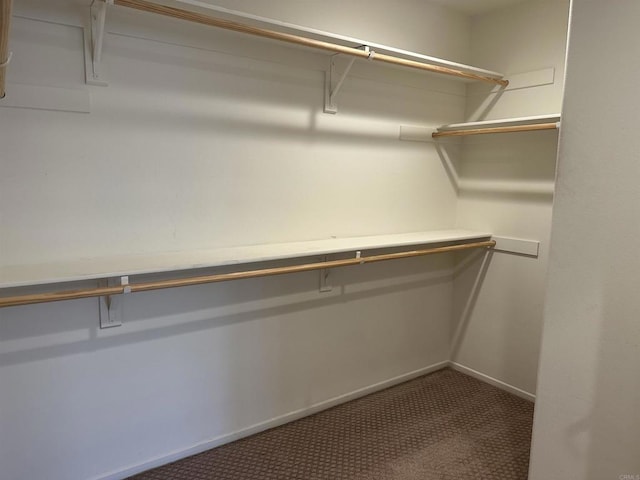 253 Oberland Way, Fallbrook, CA 92028 - spacious closet with carpet floors