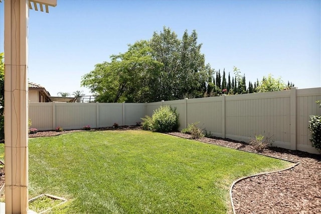 1467 Hunter Moon Way, Beaumont, CA 92223 - view of yard