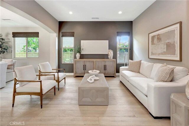 29310 Paseo Palmar, San Juan Capistrano, CA 92675 - living room featuring healthy amount of natural light, light wood-style floors, recessed lighting, and baseboards