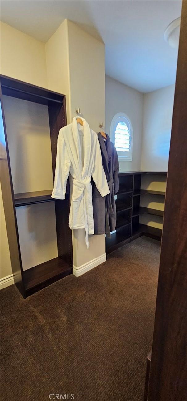 29310 Paseo Palmar, San Juan Capistrano, CA 92675 - walk in closet with carpet flooring