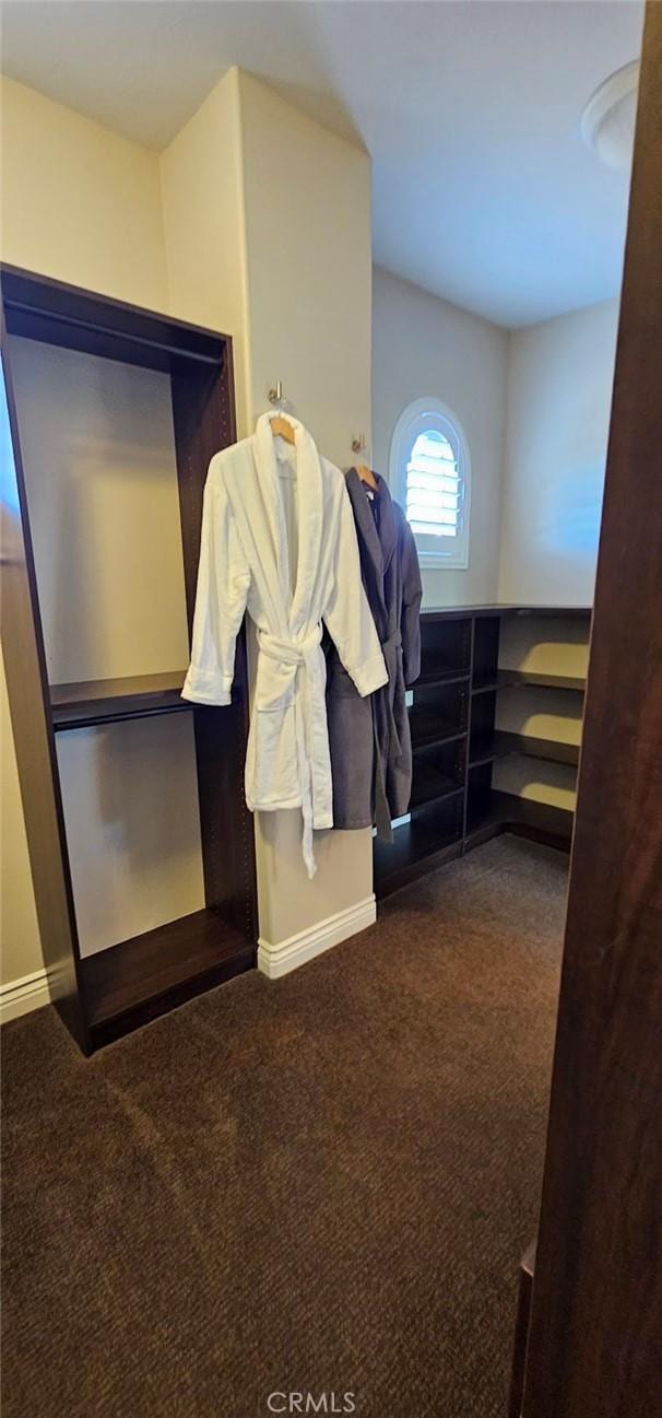 29310 Paseo Palmar, San Juan Capistrano, CA 92675 - spacious closet with carpet flooring