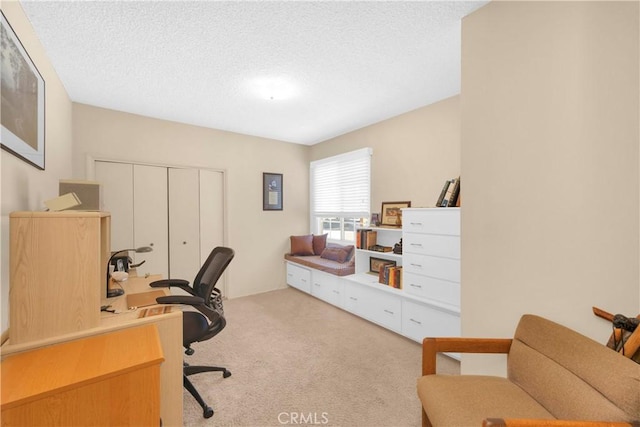 2006 W 180th Pl, Torrance, CA 90504 - office featuring carpet floors and a textured ceiling