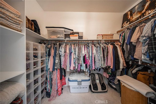 1459 W Quince Ct, Ontario, CA 91762 - spacious closet featuring carpet floors