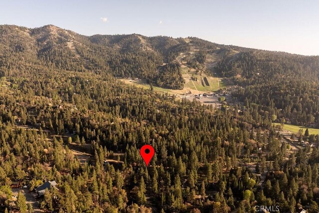 43387 Sheephorn Rd, Big Bear Lake, CA 92315 - view of mountain backdrop with a heavily wooded area