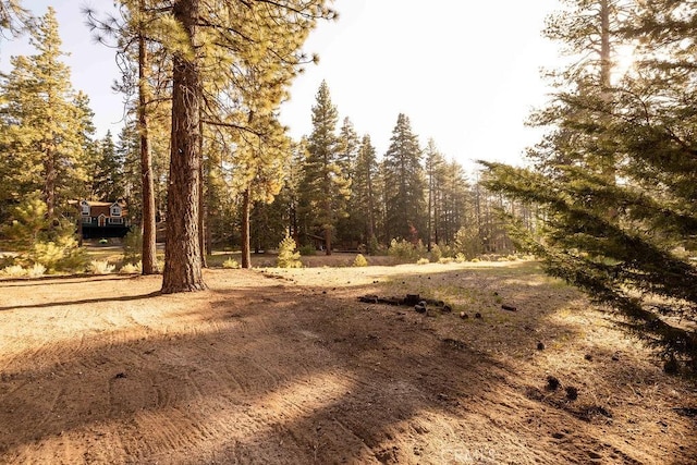 43387 Sheephorn Rd, Big Bear Lake, CA 92315 - view of tree filled area