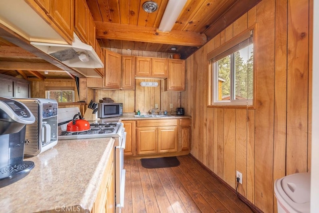 43387 Sheephorn Rd, Big Bear Lake, CA 92315 - kitchen with stainless steel microwave, white gas range, healthy amount of natural light, light countertops, and wooden walls