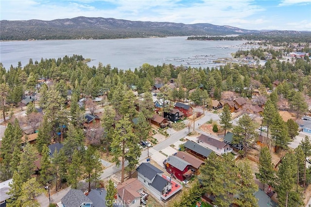 40224 Mahanoy Ln, Big Bear Lake, CA 92315 - photo 26