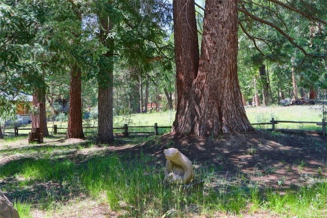 8067 Chilnualna Falls Rd, Wawona, CA 95389 - view of yard