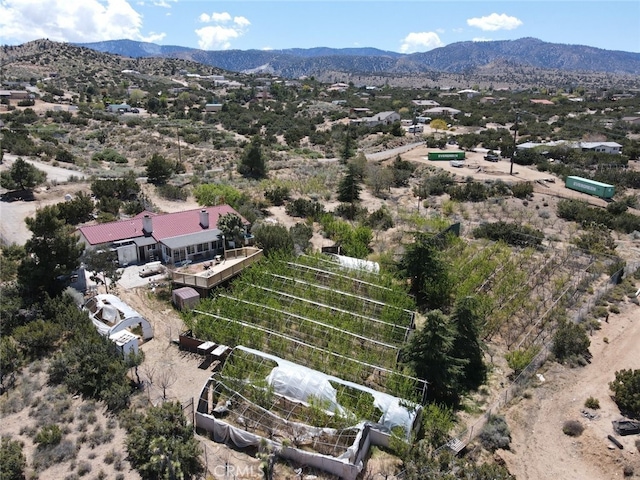 3010 Silver Ridge Dr, Pinon Hills, CA 92372 - photo 52