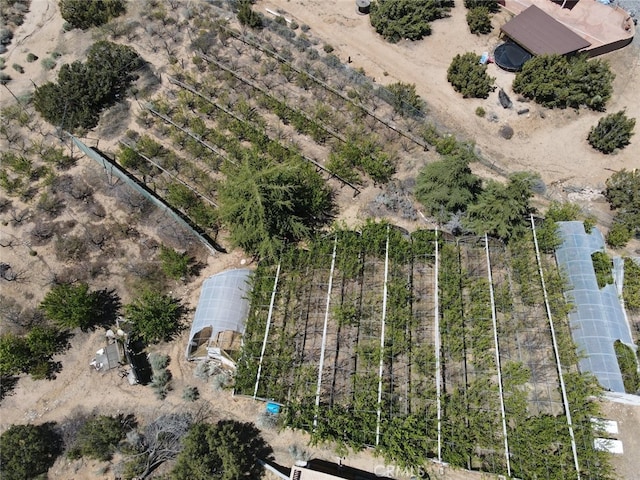 3010 Silver Ridge Dr, Pinon Hills, CA 92372 - photo 51
