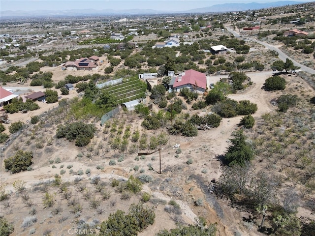 3010 Silver Ridge Dr, Pinon Hills, CA 92372 - photo 54