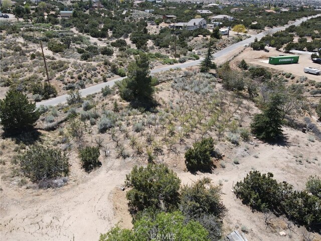 3010 Silver Ridge Dr, Pinon Hills, CA 92372 - photo 50