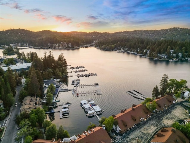 233 Glen Avon Dr, Cedar Glen, CA 92321 - water view featuring a heavily wooded area