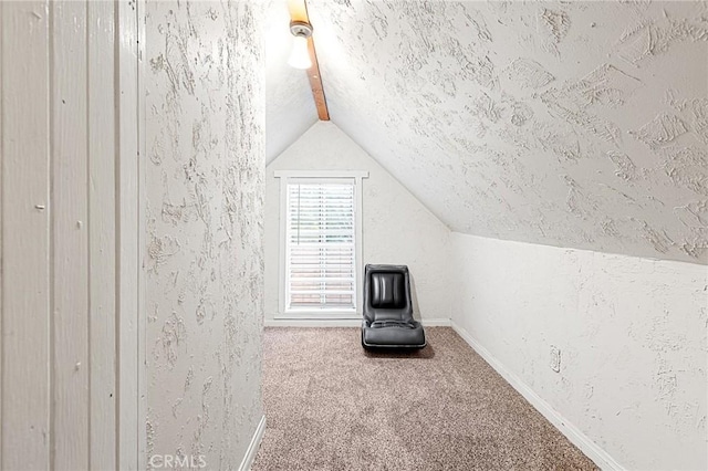 233 Glen Avon Dr, Cedar Glen, CA 92321 - bonus room featuring lofted ceiling, carpet, baseboards, and a textured wall