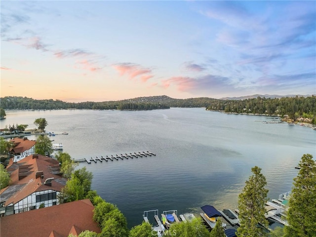 233 Glen Avon Dr, Cedar Glen, CA 92321 - water view