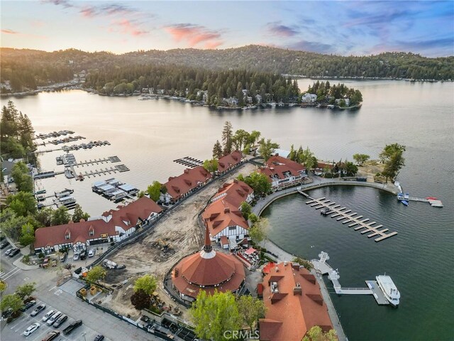 233 Glen Avon Dr, Cedar Glen, CA 92321 - aerial view at dusk of a water view and a forest view