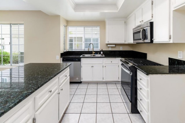 1253 Manzana Way, San Diego, CA 92139 - kitchen with appliances with stainless steel finishes, a sink, a tray ceiling, plenty of natural light, and crown molding