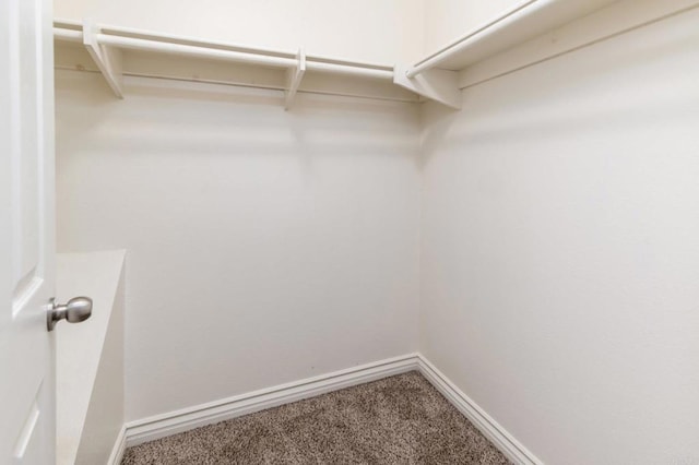 1253 Manzana Way, San Diego, CA 92139 - spacious closet featuring carpet floors
