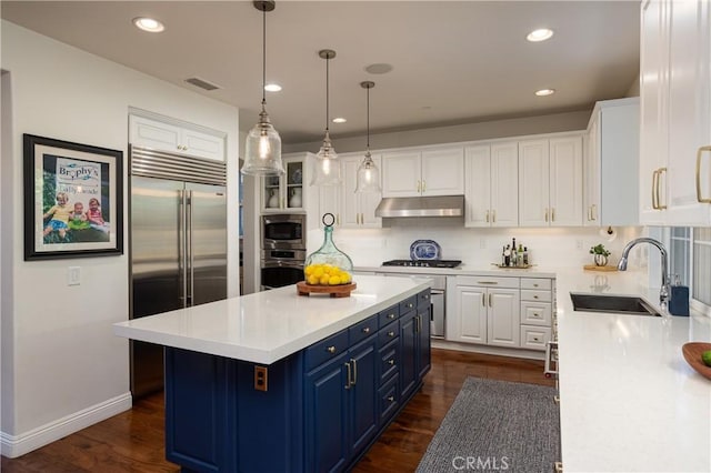 114 Via Monte Picayo, San Clemente, CA 92673 - kitchen with under cabinet range hood, stainless steel appliances, blue cabinetry, a sink, and white cabinets