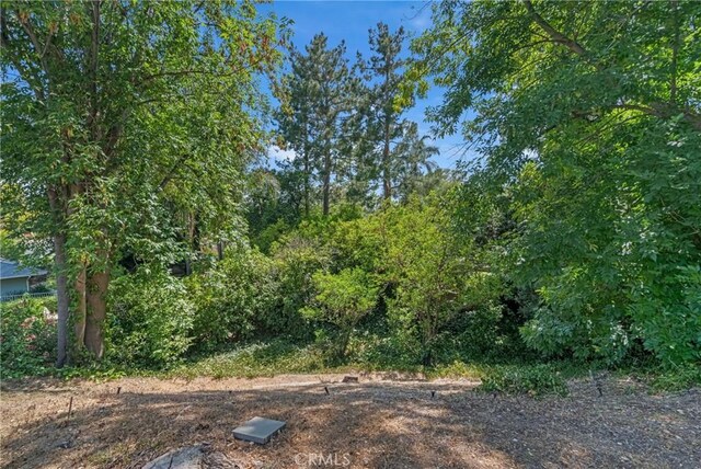 20306 Tau Pl, Chatsworth, CA 91311 - photo 58