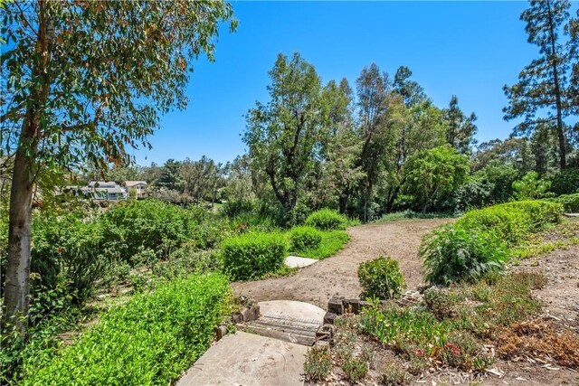 7626 E Saddlehill Trl, Orange, CA 92869 - view of yard