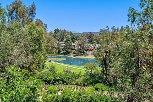 7626 E Saddlehill Trl, Orange, CA 92869 - water view with a mountainous background