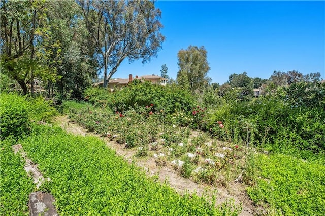 7626 E Saddlehill Trl, Orange, CA 92869 - view of undeveloped land