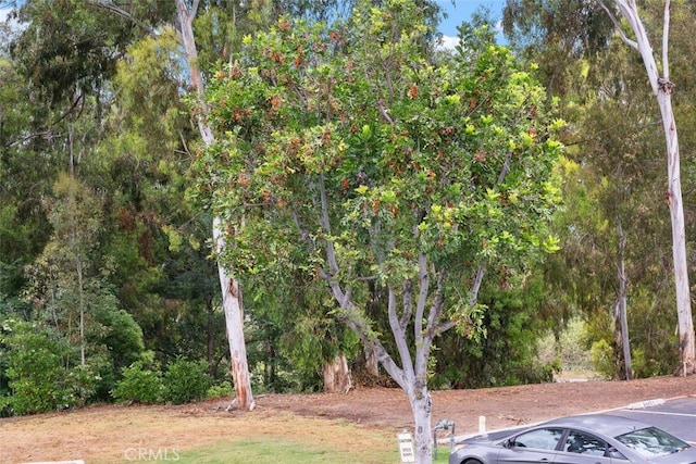 24462 Copper Cliff Ct Unit 20, Lake Forest, CA 92630 - view of yard