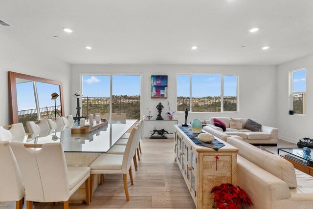 813 Mateo St Unit 2, Chula Vista, CA 91911 - living area with light wood-style floors and recessed lighting