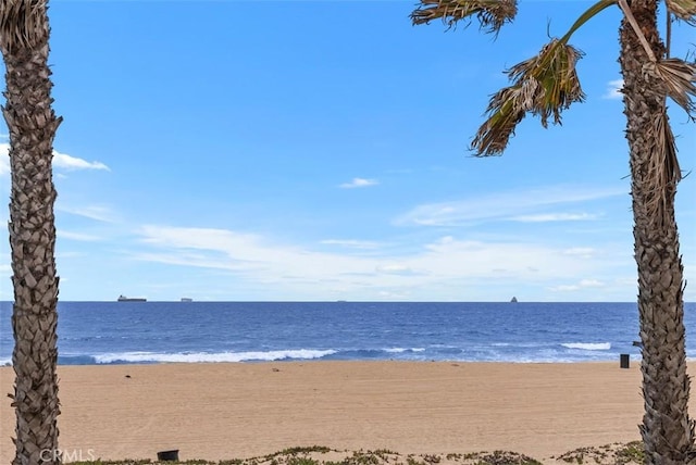16905 S Pacific Ave, Sunset Beach, CA 90742 - photo 22