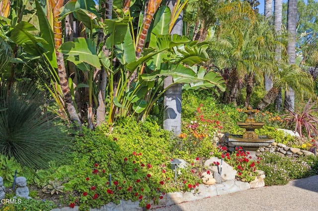 612 Via Arroyo, Ventura, CA 93003 - photo 69