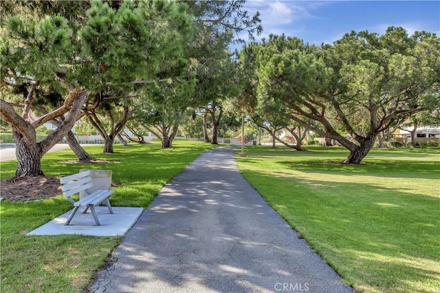 3531 Almond St, Irvine, CA 92606 - view of property's community with a lawn