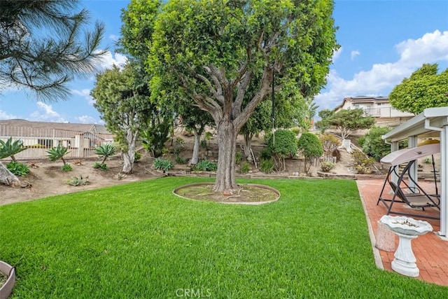2922 Estancia, San Clemente, CA 92673 - view of yard
