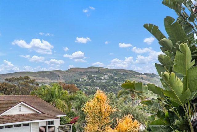 2922 Estancia, San Clemente, CA 92673 - mountain view
