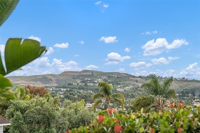 2922 Estancia, San Clemente, CA 92673 - mountain view