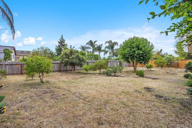 856 Oro Grande St, Oceanside, CA 92057 - view of yard