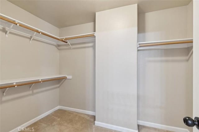 7538 N Erie Ave, Fresno, CA 93722 - walk in closet featuring carpet floors