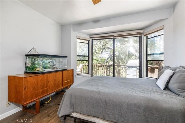 12355 Santa Ana Rd, Atascadero, CA 93422 - bedroom featuring wood finished floors, multiple windows, and baseboards