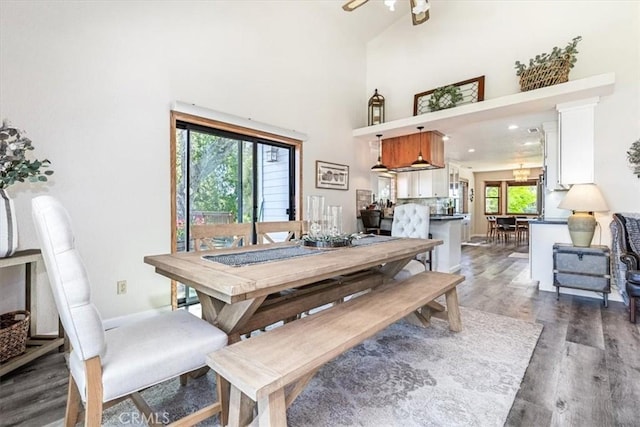 12355 Santa Ana Rd, Atascadero, CA 93422 - dining space featuring dark wood finished floors, baseboards, and a high ceiling