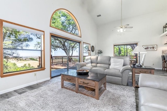 12355 Santa Ana Rd, Atascadero, CA 93422 - living room featuring high vaulted ceiling, a ceiling fan, wood finished floors, and baseboards