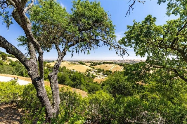 12355 Santa Ana Rd, Atascadero, CA 93422 - view of undeveloped land
