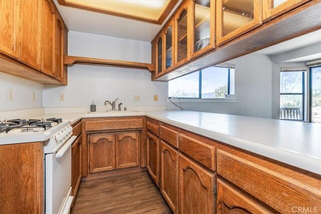 12355 Santa Ana Rd, Atascadero, CA 93422 - kitchen featuring brown cabinets, white range with gas stovetop, and a sink